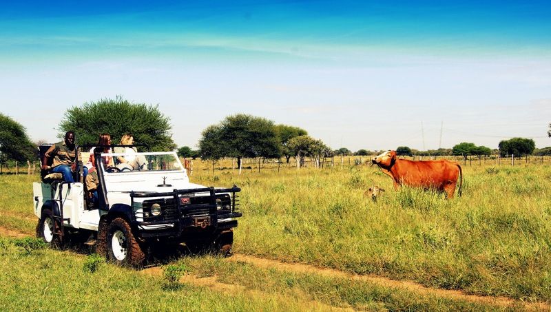 Dornhuegel Guestfarm Hotel Grootfontein Exterior foto